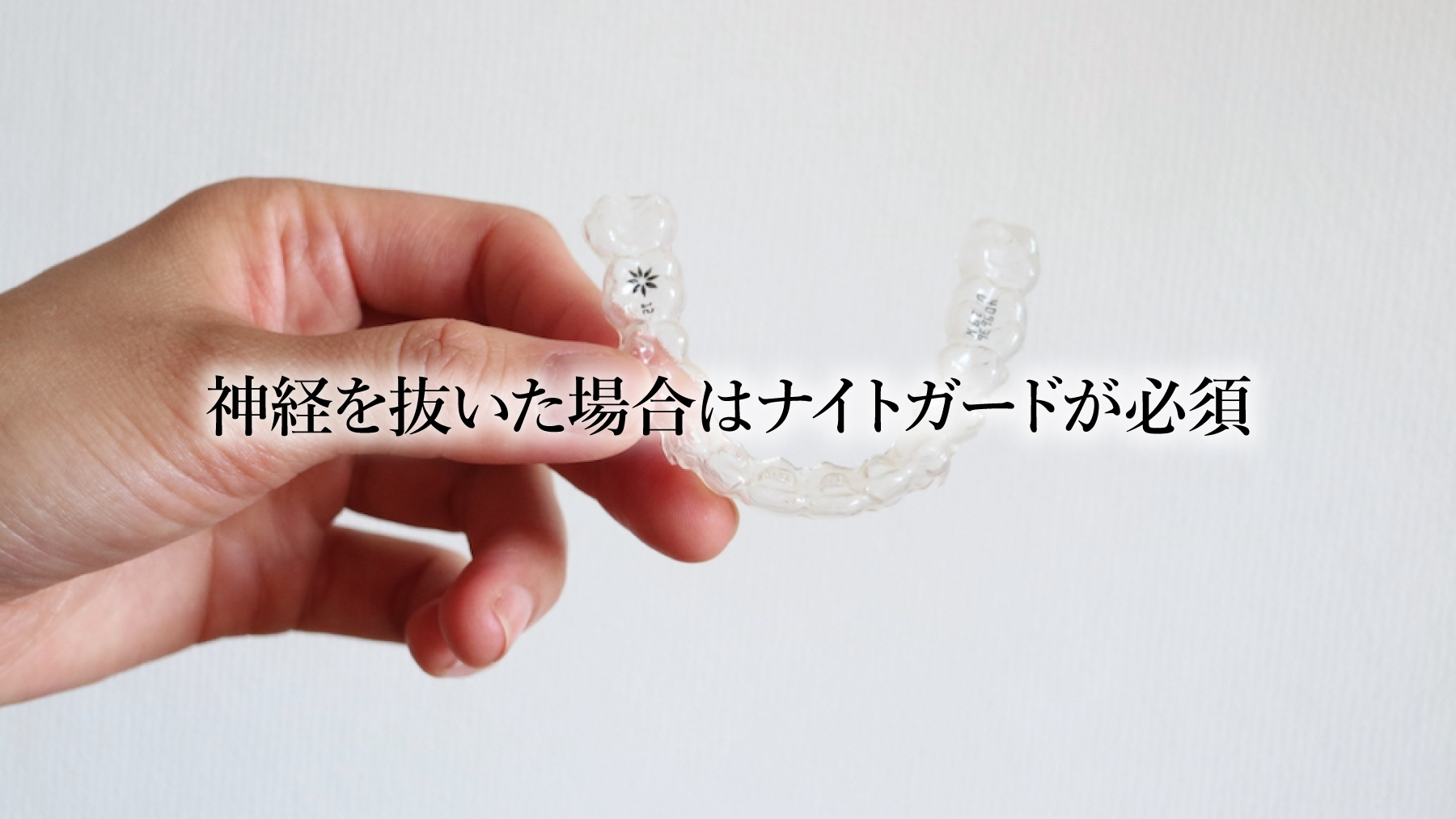 _o𔲂ꍇ̓iCgK[hK{